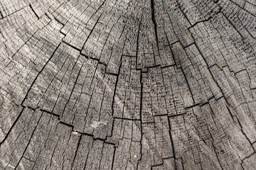 Fototapeta premium stare tło drewna