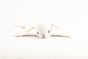 plush toy isolated on white