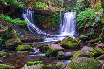 Fototapeta premium Horseshoe Falls, Tasmania, Australia. Flowing water through the green rocky falls in Mount Field National Park.