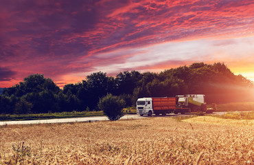 Fototapeta premium Fantastic sunset over the field of wheat