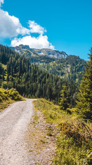 Fototapeta na wymiar Smartphone HD wallpaper of alpine view at the Zwoelferkopf summit