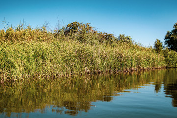 Fototapeta premium Delta Danube trip - August colors