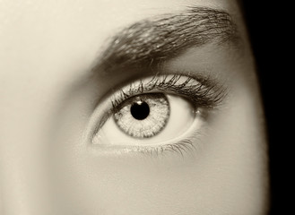 A beautiful insightful look woman's eye.