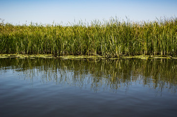 Obraz premium Delta Danube trip - August colors