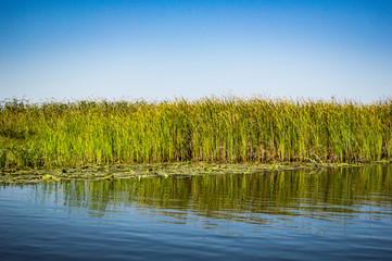 Delta Danube trip - August colors