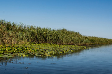 Delta Danube - August colors 