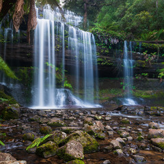 Waterfall in forest, long exposure. Russell Falls in Mount Field National Park, Tasmania.