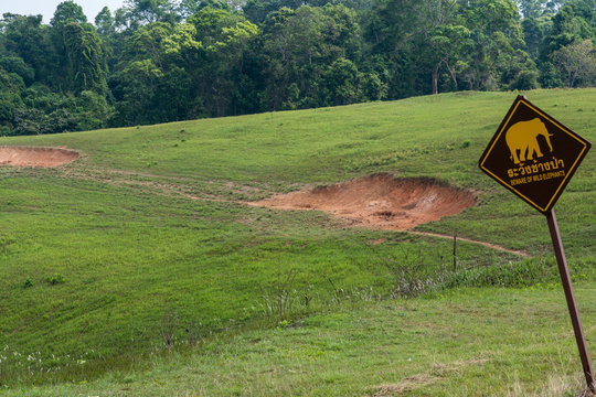 Field with bald spots and Bewaring of wild Elephant sign. Nature and wildlife views in the jungle in Thailand National Park.
