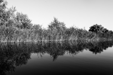 Delta Danube - Black & White