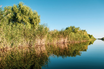 Delta Danube reflection