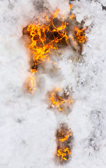 Naklejka na ściany i meble Flame of fire on white snow in winter