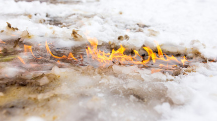 Flame of fire on white snow in winter