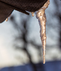 Icicles hang from the roof in winter