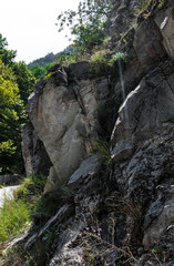 cliff covered with vegetation