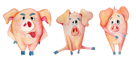 Cute Christmas pigs. Symbol Chinese New Year. Watercolor illustration