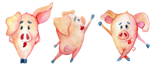 Cute Christmas pigs. Symbol Chinese New Year. Watercolor illustration
