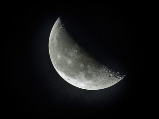 Naklejka premium Detail Moon 2