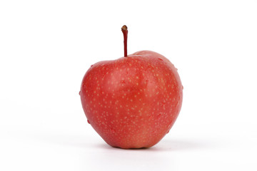 apple - a delicious red apple isolated on white background