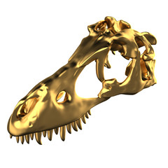 Tyrannosaurus Rex Gold skull isolated on white