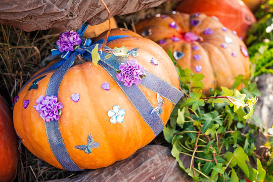 Autumn  composition with pumpkinspkin in various shapes, flowers and plants  on Manege square in Moscow, Russia. Harvest holiday, farm market.  Autumn farm decorations, Background for halloween.  