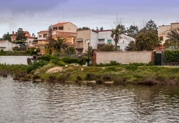 Obraz premium Guadiana river next to the fields of Extremadura on a sunny day