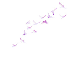 violet watercolor silhouette of flocks of birds