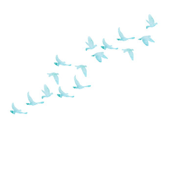 vector, isolated, blue watercolor silhouette of flocks of birds