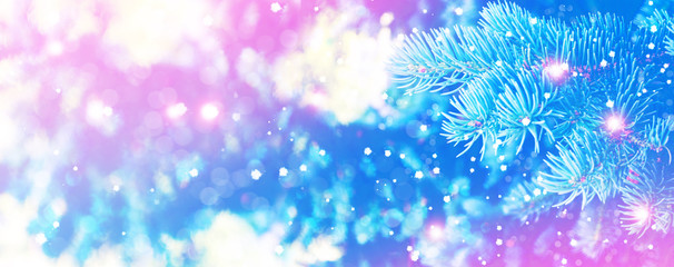 Fototapeta na wymiar pine branch. Blurred christmas background