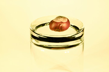 Chestnut and glass