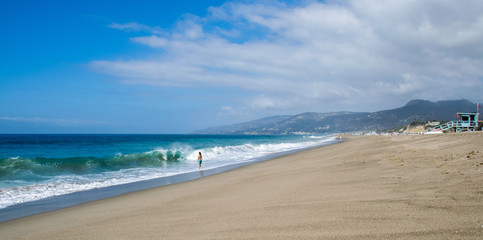 Swimmer, Westward Beach, Malibu, California