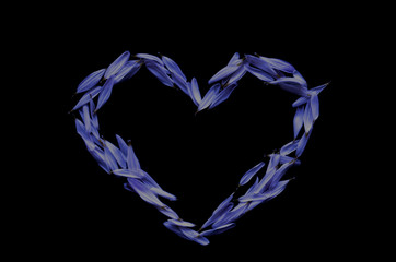 The symbol of love is the heart of purple flower