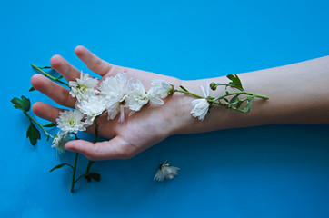 Photo of girls hands with white flowers