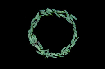 Circle from green petals