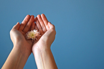 Girl holding a delicate flower
