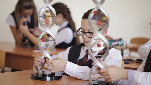 schoolchildren in school uniform are studying the layout of dna sitting in the classroom. The concept of school education.