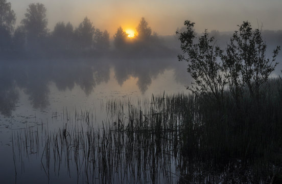 sunrise over the lake © Nikolay