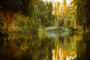 A beautiful autumn afternoon in the park.