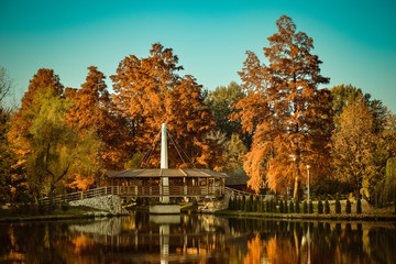Fototapeta premium A beautiful autumn afternoon in the park.