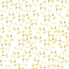 Seamless pattern of watercolor illustration of brassica napus on white. Background for greeting cards, invitations, and other printing projects.
