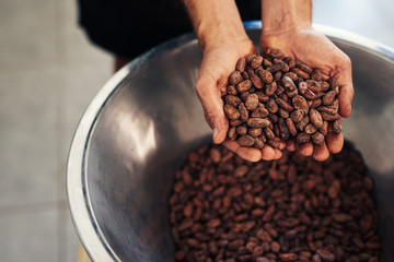 Worker holding cocao beans in an artisanal chocolate making factory