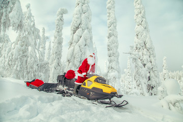 Authentic Santa Claus is riding a snowmobile through the winter forest.