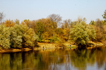 Fototapeta na wymiar River Great Morava in Cuprija town. Autumn, sunny day, forest near the river