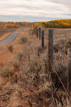 Fall in Wyoming, Black Top Road with Barbed Wire Fence in Foreground and Rolling Hills in Background,  