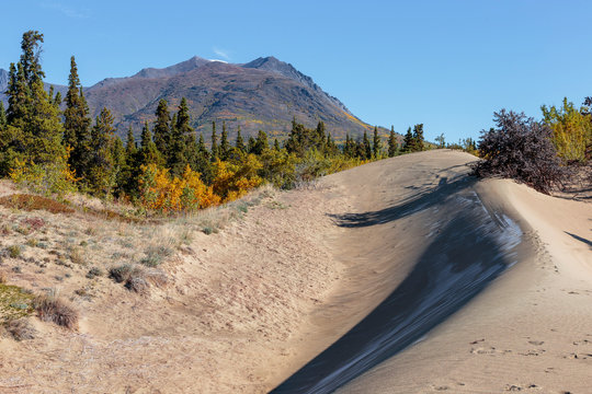 Sand dunes of Cracross desert, the smallest desert in the world. Yukon Canada.