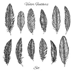 Hand drawn vector feathers set isolated on white background. Detailed boho decoration elements. Realistic illustration.