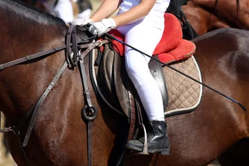 Tissu par mètre Léquitation Beautiful sport horse with rider under saddle on natural background, equestrian sport