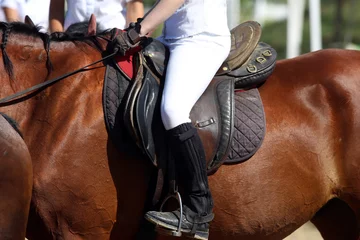 Foto op Plexiglas Paardrijden Mooi sportpaard met ruiter onder zadel op natuurlijke achtergrond, paardensport