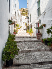 Fototapeta na wymiar Street of white walls in a village of Andalusia called Frigiliana