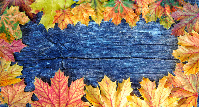 Autumn maple leaves frame over wooden background with copy space for inscription, top view, tablet for text