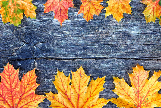 Autumn maple leaves frame over wooden background with copy space for inscription, top view, tablet for text